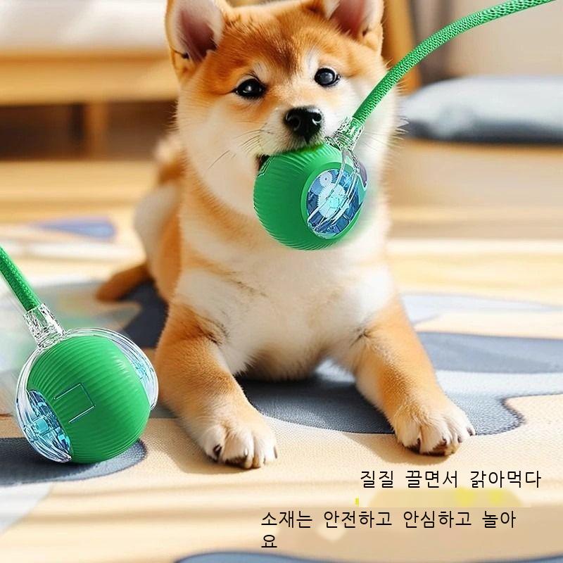 자동 고양이 공 놀리기 고양이 오락 자기 공 장난감 공 답답함 해소 신기 끈 점프 공 애완동물 용품No.1422