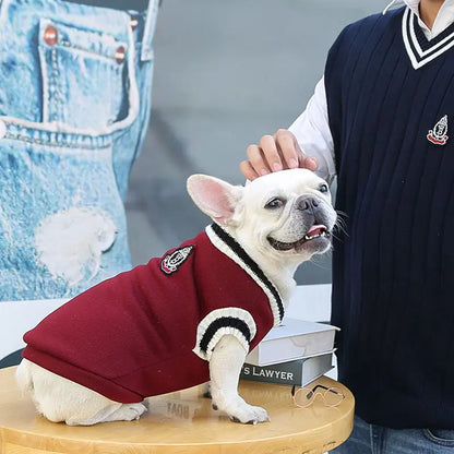 강아지 고양이 스웨터 바시티 스타일 V넥 소형견 스웨터 따뜻한 반려동물 옷No.1563